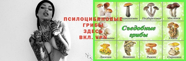 прущие крисы Алзамай