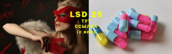 прущие крисы Алзамай
