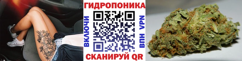 Конопля сатива  OMG tor  Алупка 